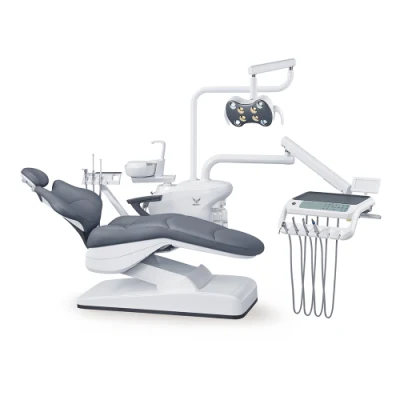 Dental Unit Manufacturer Dental LED Oral Light Lamp for Dental Unit Chair